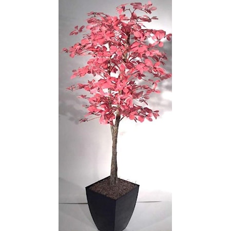 6' Pink Olive Tree In Metal Planter
