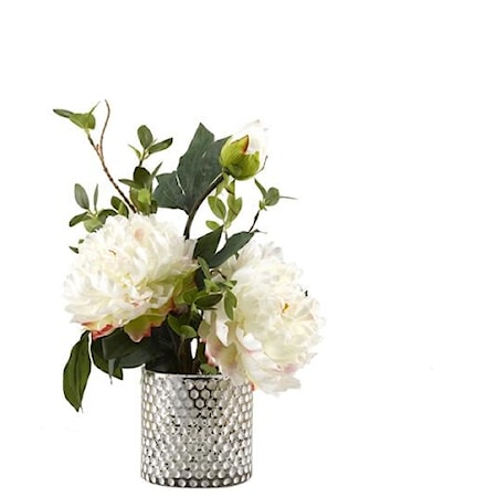 Large White Peonies In Vase