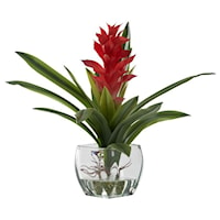 Red Ginger Plant in Glass Cube