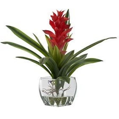 Red Ginger Plant in Glass Cube