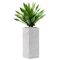 Large Succulent Plant in Tall Square White Planter