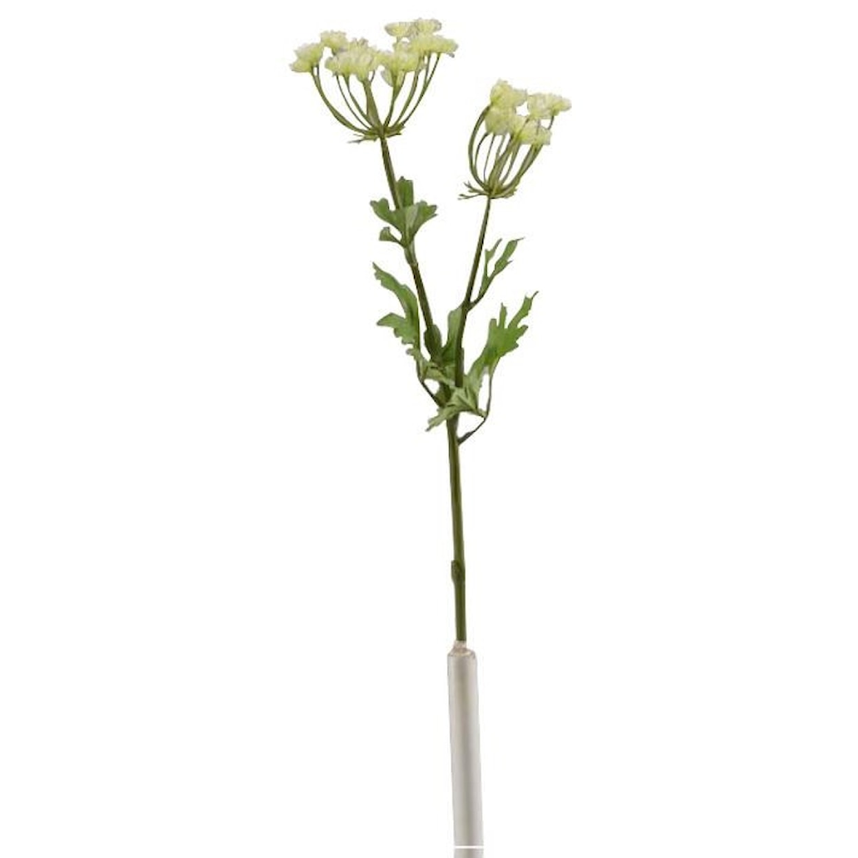 D&W Silks Stems and Planters 32" Queen Annes Lace