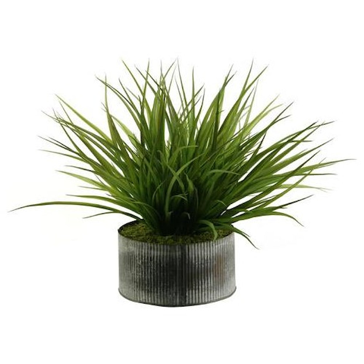 D&W Silks Succulents Wild Grass in Round Tin Planter