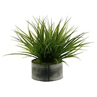 Wild Grass in Round Tin Planter