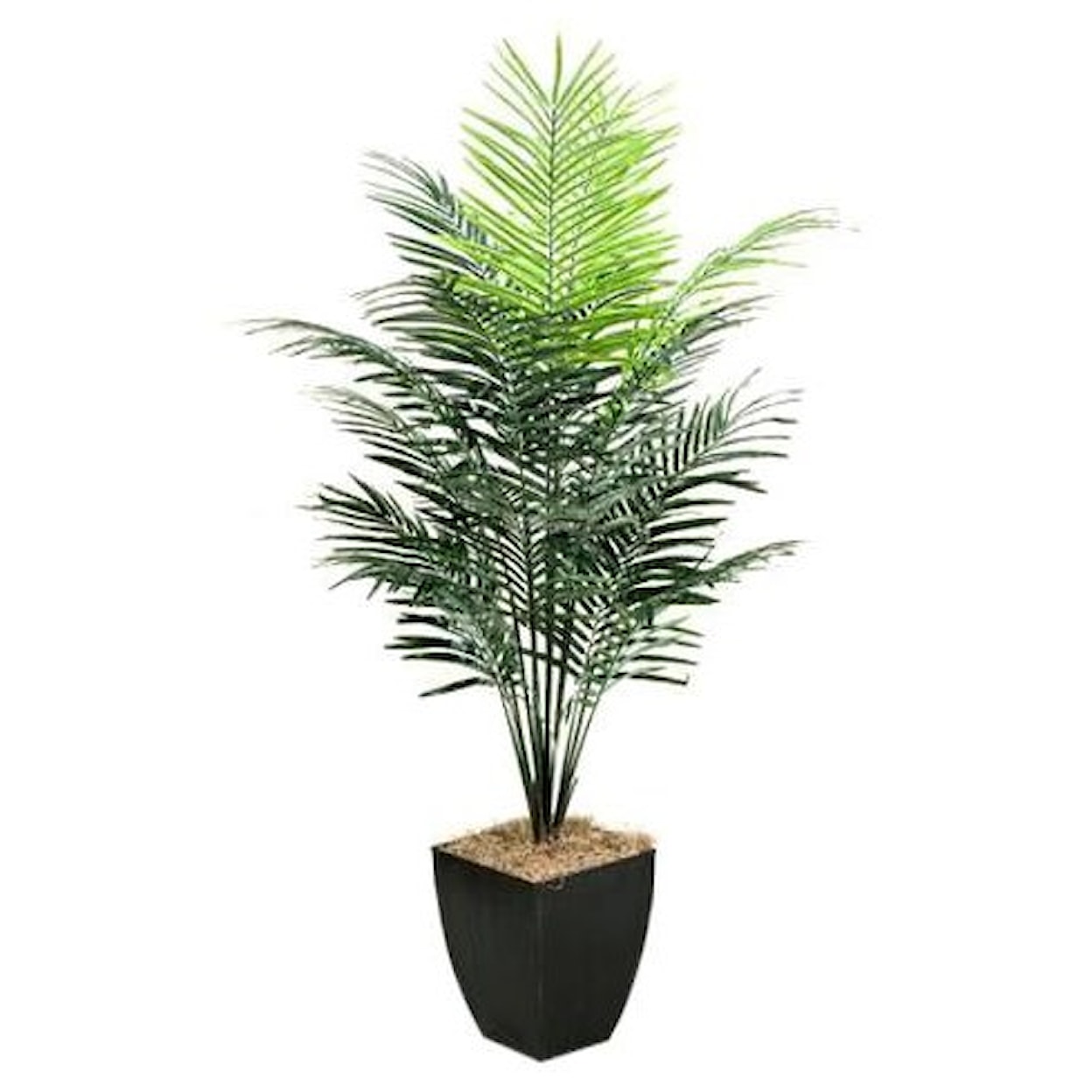 D&W Silks Artificial Trees 7' Dwarf Areca Palm Tree