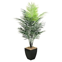 7' Dwarf Areca Palm Tree in Square Metal Planter