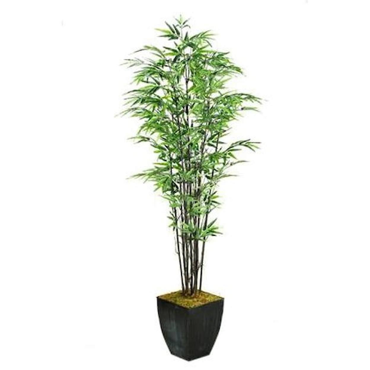 D&W Silks Artificial Trees 7' Black Bamboo Tree