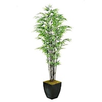 7' Black Bamboo Tree in Square Metal Planter