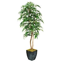 7' Weeping Ficus Tree in Square Metal Planter