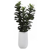 6' Fiddle Leaf Fig Tree in Round White Resin Planter