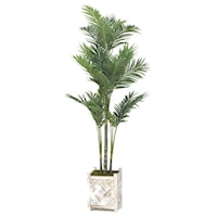 Golden Palm Tree in Square Wooden Planter
