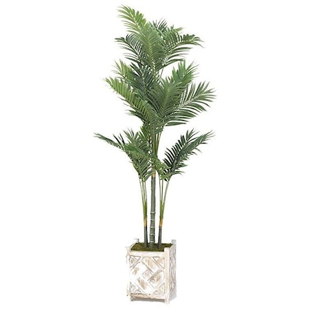 Golden Palm Tree in Square Wooden Planter