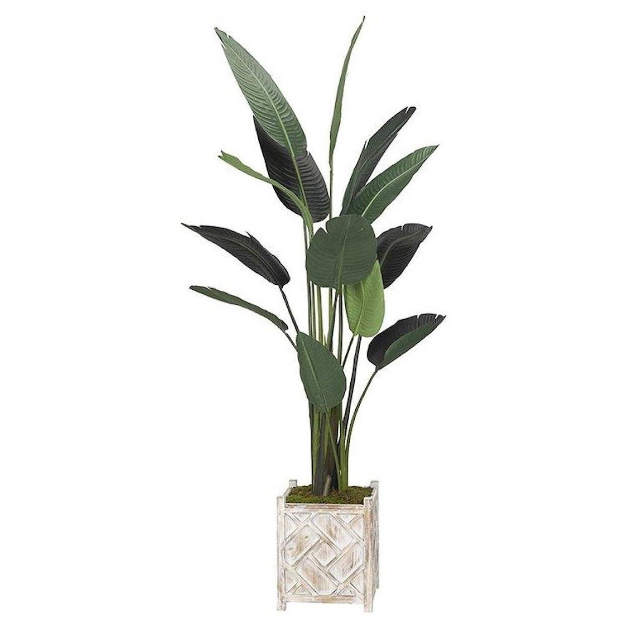 D&W Silks Artificial Trees Traveller Palm Tree in Square Wooden Planter