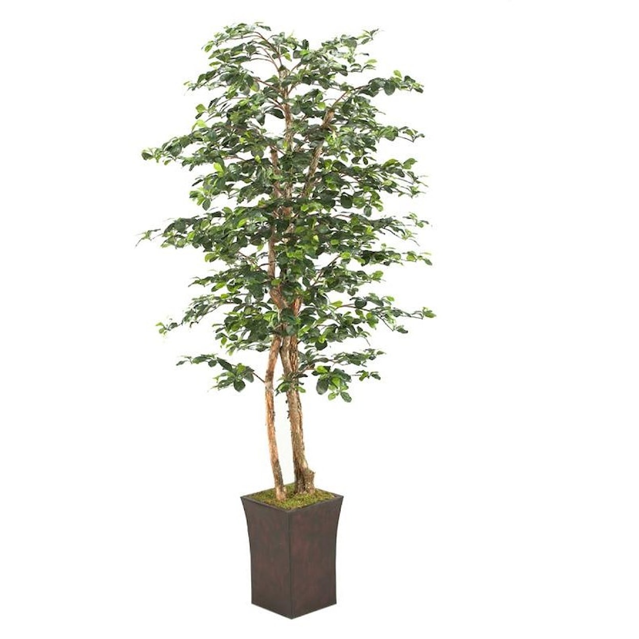 D&W Silks Artificial Trees 7' Black Olive Tree