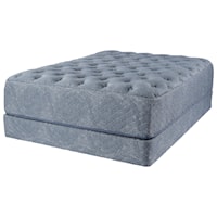 Queen 14" Plush Pocketed Coil Mattress and Bahama Regular Base