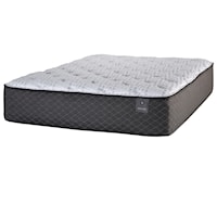 Twin 14" Plush Pocketed Coil Mattress