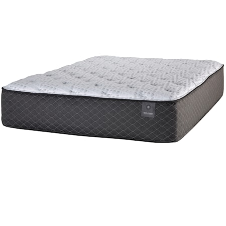 Twin 14" Plush Mattress