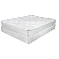Twin Extra Long 7" Latex Mattress and Low Profile Base