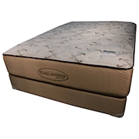 Twin 14" Plush Mattress and Wood Foundation