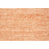 Feizy Rugs Burke Tangerine 4' x 6' Area Rug