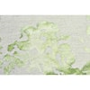 Feizy Rugs Lorrain Avocado 2' x 3' Area Rug