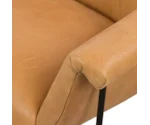 Interior Style Upholstered Accents Leather Accent Chair