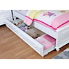 Furniture of America Olivia Twin Trundle Bed