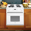 GE Appliances Electric Range  27" Drop-In Electric Range