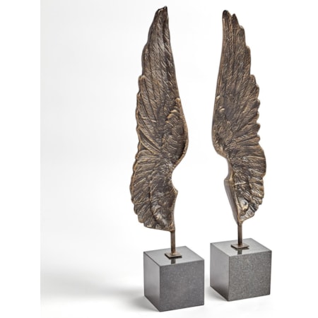 Bronze Wings