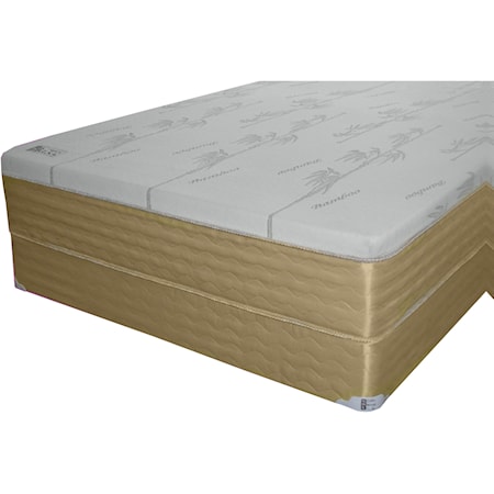 Queen 12" Memory Foam Mattress Set