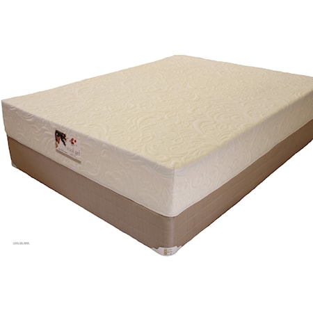 Mattress and Foundation