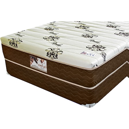 Twin 12" Gel Memory Foam Mattress Set