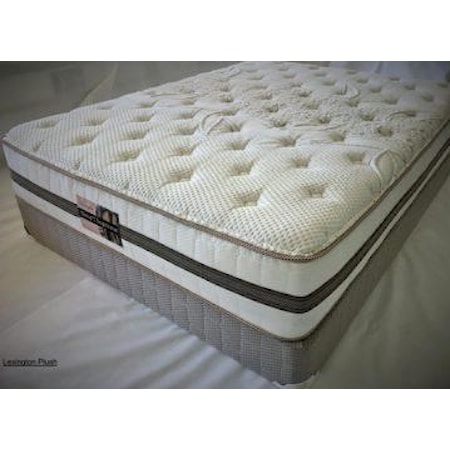 Mattress and Foundation