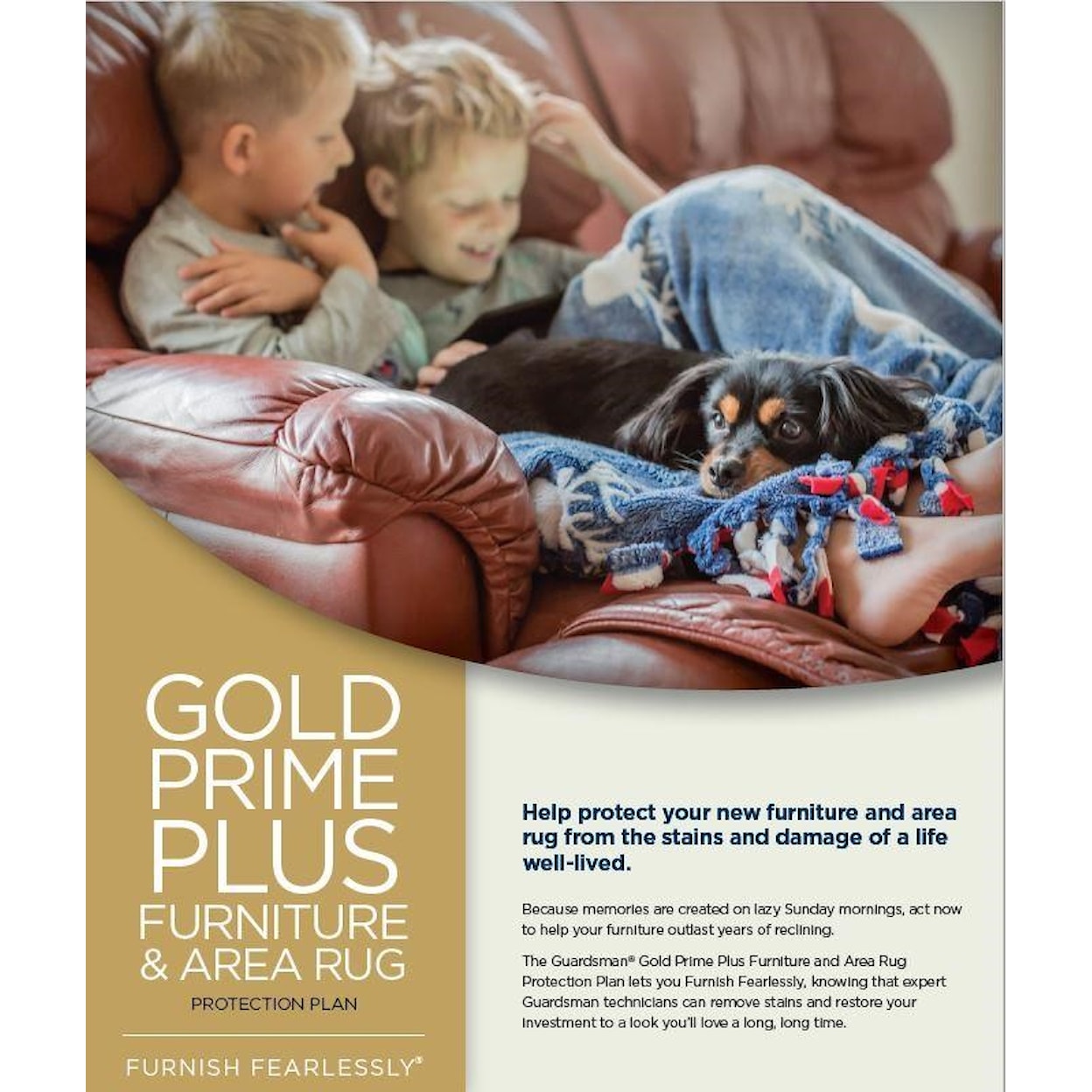 Guardsman Products Protection Plan Gold Prime Plus 5 Year