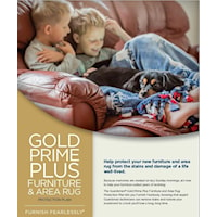 Gold Prime Plus 5 Year Protection Plan includes Rugs