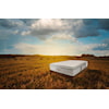 Harvest Green Mattress Harvest Pillow Top Full 13" Medium Plush Hybrid Mattress