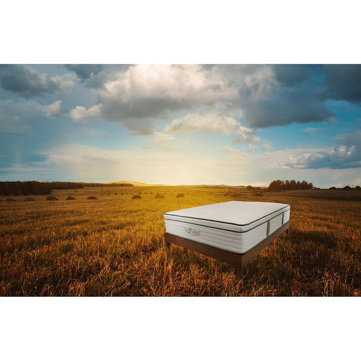 Harvest Green Mattress Harvest Pillow Top Full 13" Medium Plush Hybrid Mattress