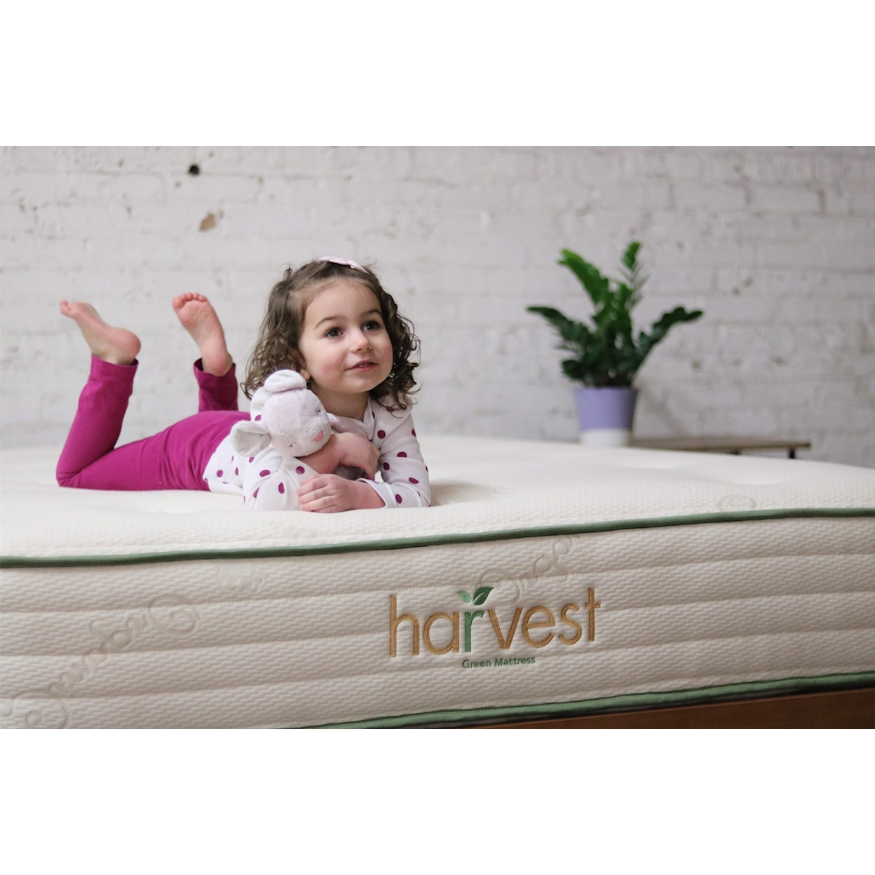 Harvest Green Mattress Harvest Original Queen 11" Medium Firm Hybrid Mattress