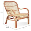 Ibolili Chairs Rattan Riviera Chair