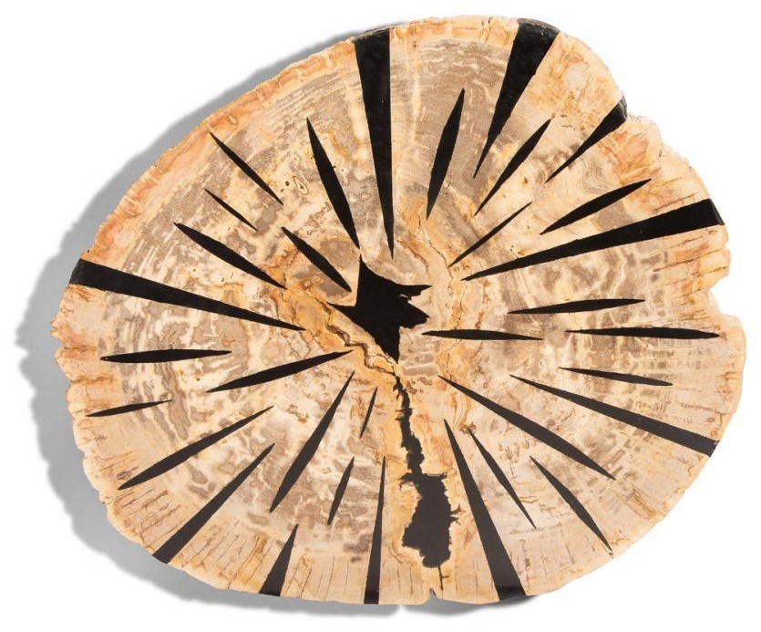 Ibolili Coffee Tables Petrified Wood Coffee Table