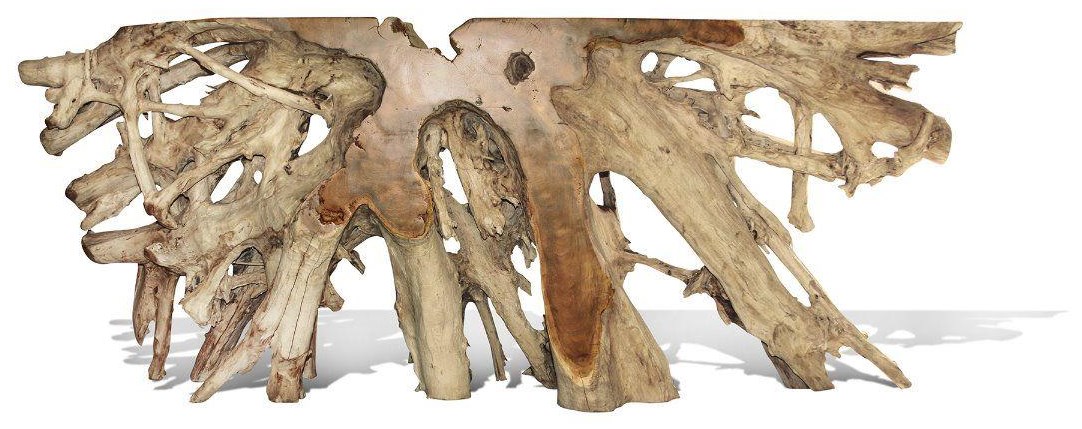 Petrified Wood Console Table