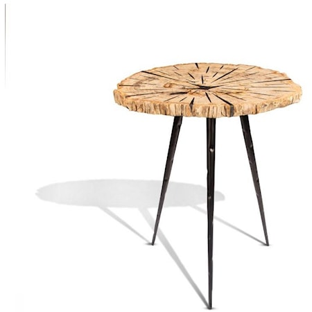 Petrified Wood Side Table