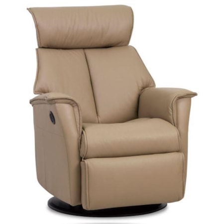 Leather Recliner