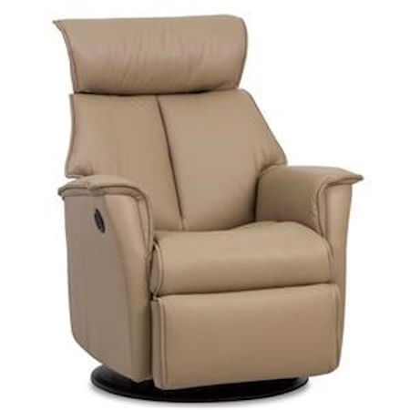 Leather Recliner