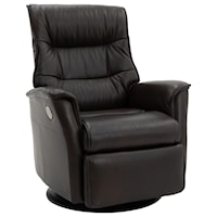 Dark Brown Medium Size Leather Power Recliner