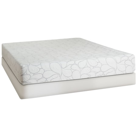 Queen 10" Gel Memory Foam Mattress Set