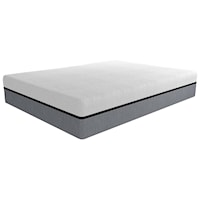 Twin 12" Plush Premium Adjustable Air Chamber Mattress