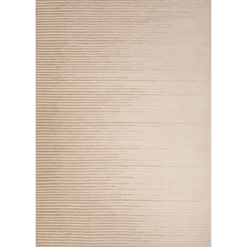 8 x 10 Rug