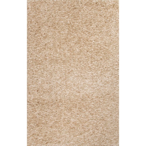 8 x 10 Rug
