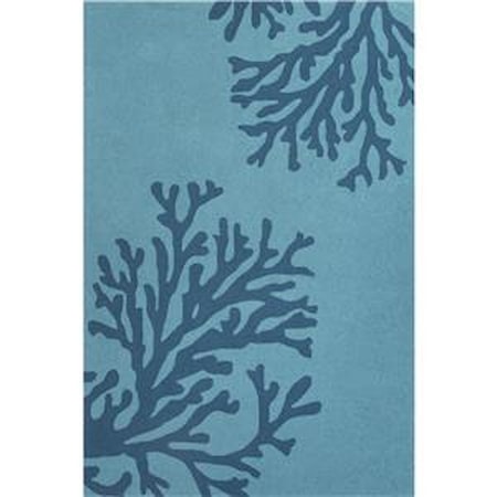 2 x 3 Rug